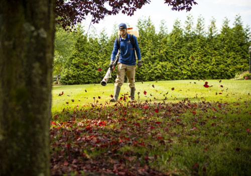 Seasonal Tasks for Maintaining Your Outdoor Space: The Essential Guide